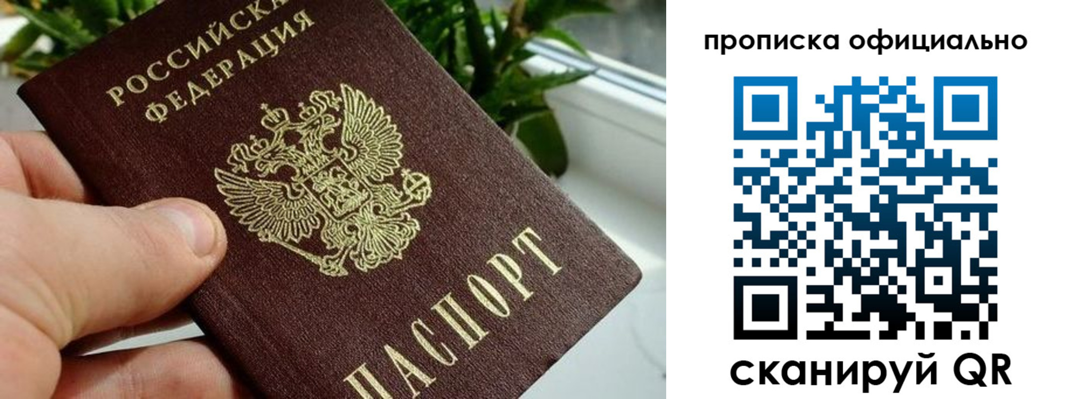 прописка поиск в Енисейске